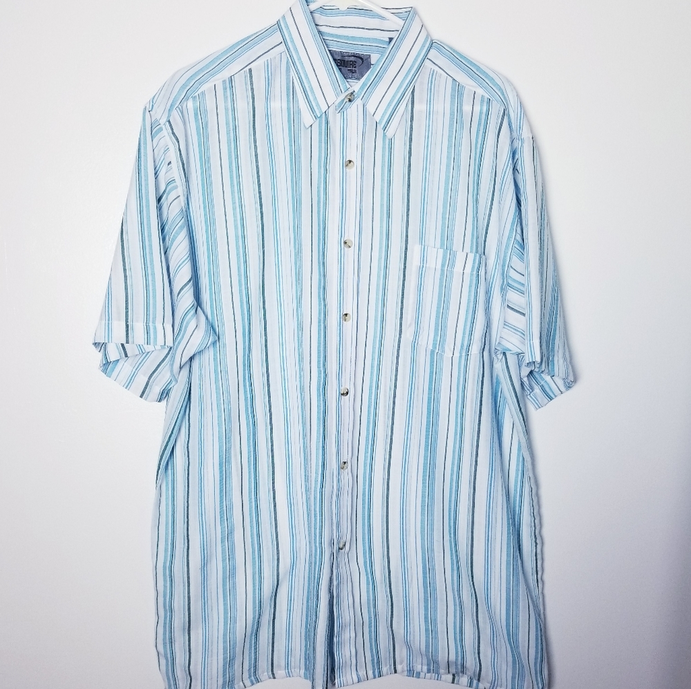 Esquire Men's Blue Striped Button Down Shirt